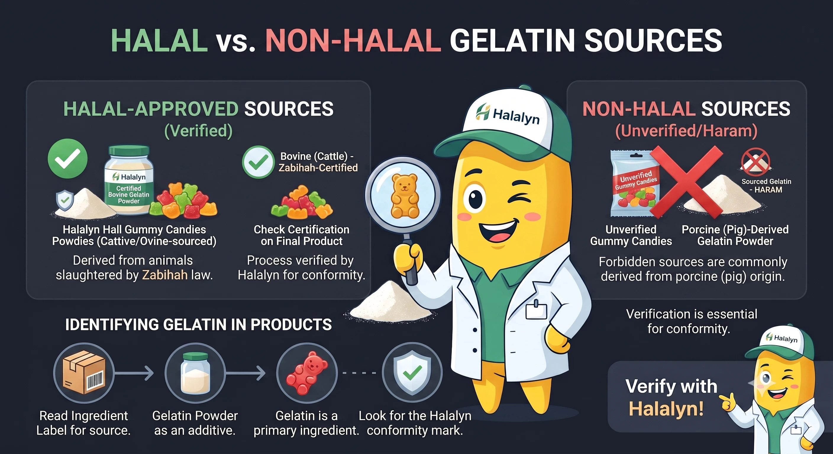 What Is Gelatin Made Of? Halal, Haram, and Vegan Facts Explained